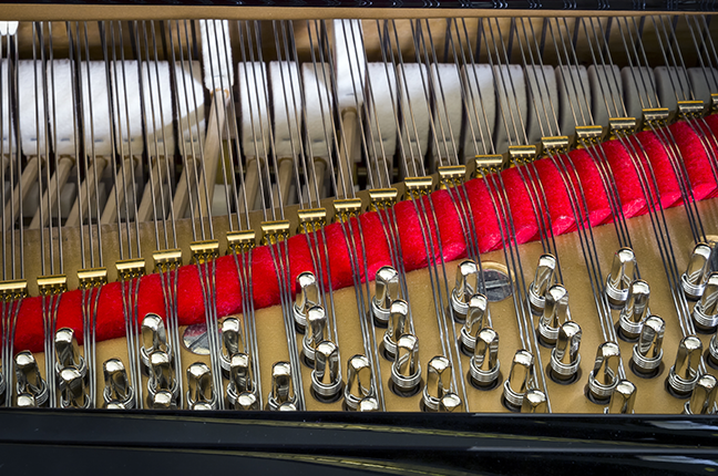 Cordas do Piano