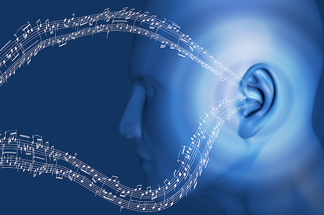 Percepção musical Percepção musical