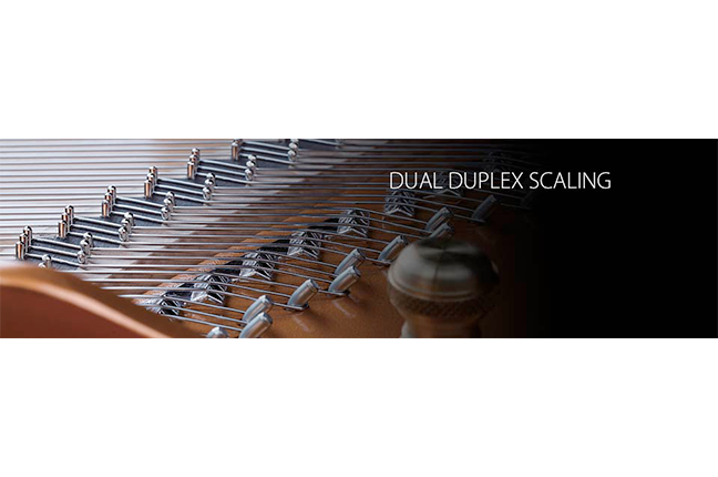 Dual Duplex Dual Duplex