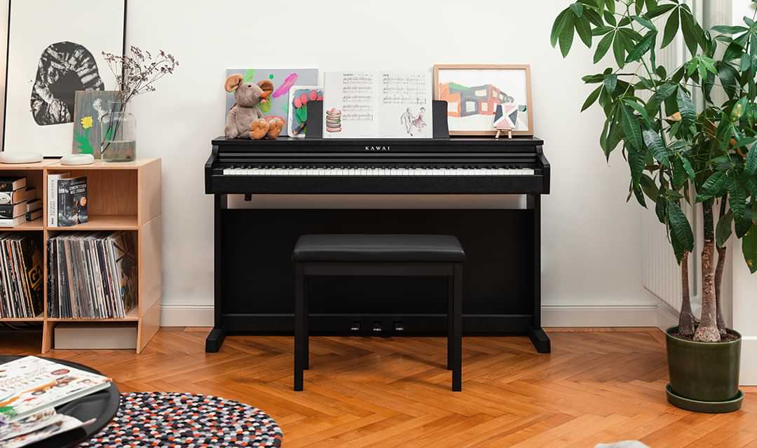 Design do gabinete simples e elegante
